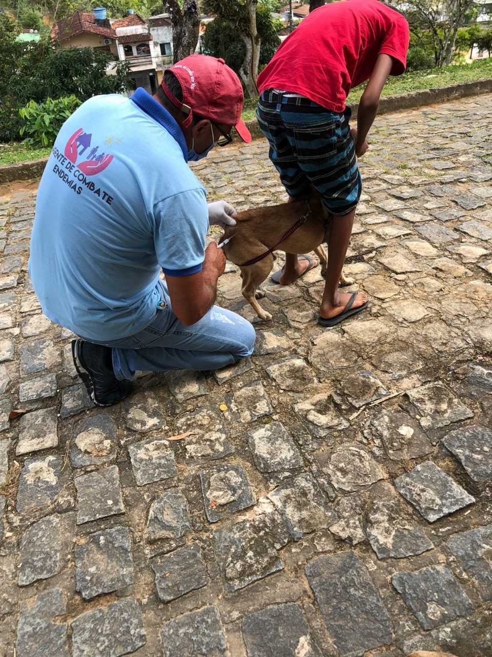 Camacã: Prefeitura realiza campanha de Vacinação antirrábica